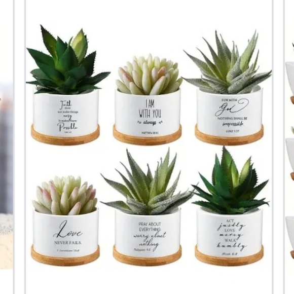 2 Ceramic & Cement Planters with tags. - Picture 8 of 8